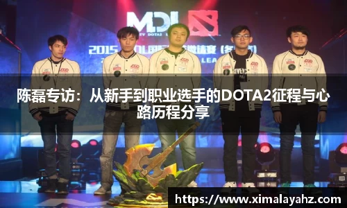 陈磊专访：从新手到职业选手的DOTA2征程与心路历程分享