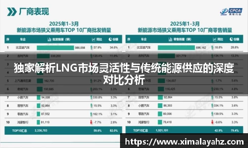 独家解析LNG市场灵活性与传统能源供应的深度对比分析