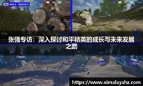 张强专访：深入探讨和平精英的成长与未来发展之路