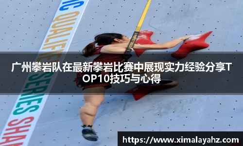 JJB竞技宝