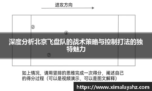 深度分析北京飞盘队的战术策略与控制打法的独特魅力